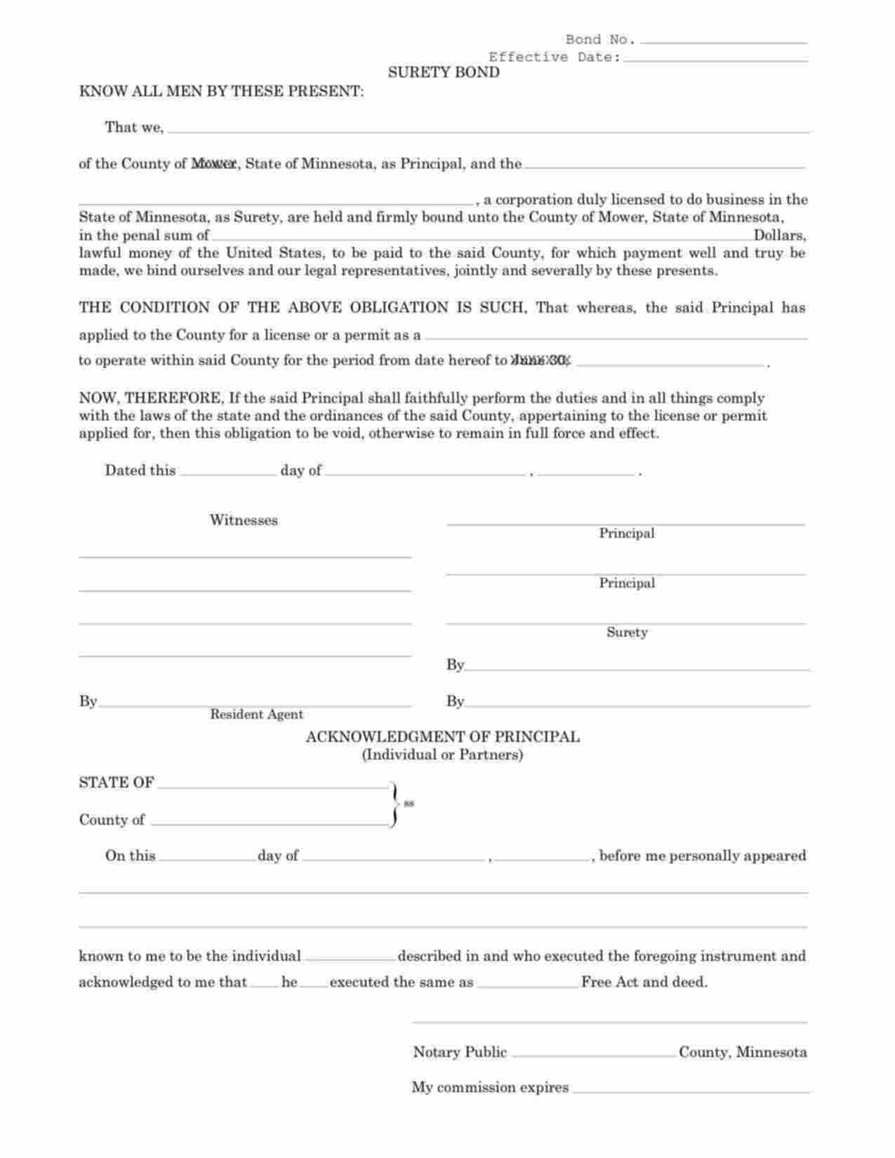 Minnesota License/Permit Bond Form