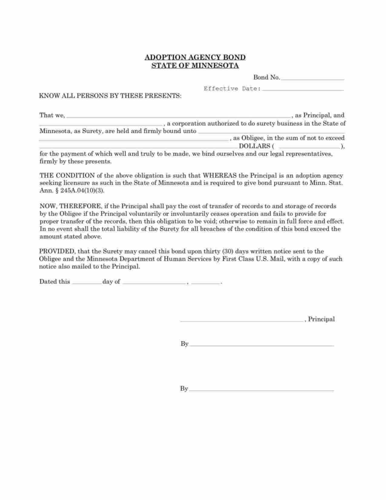 Minnesota Adoption Agency Bond Form
