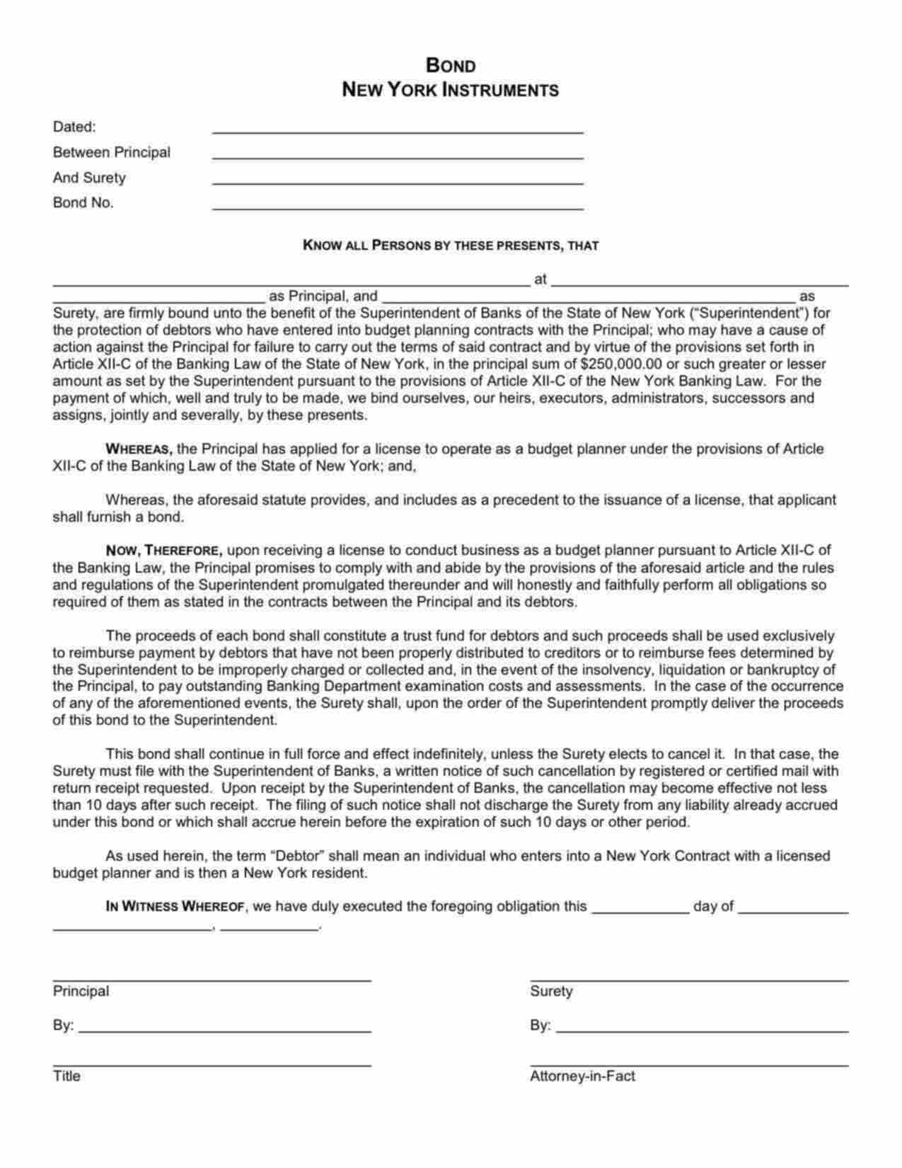 New York Budget Planner (New York Instruments) Bond Form