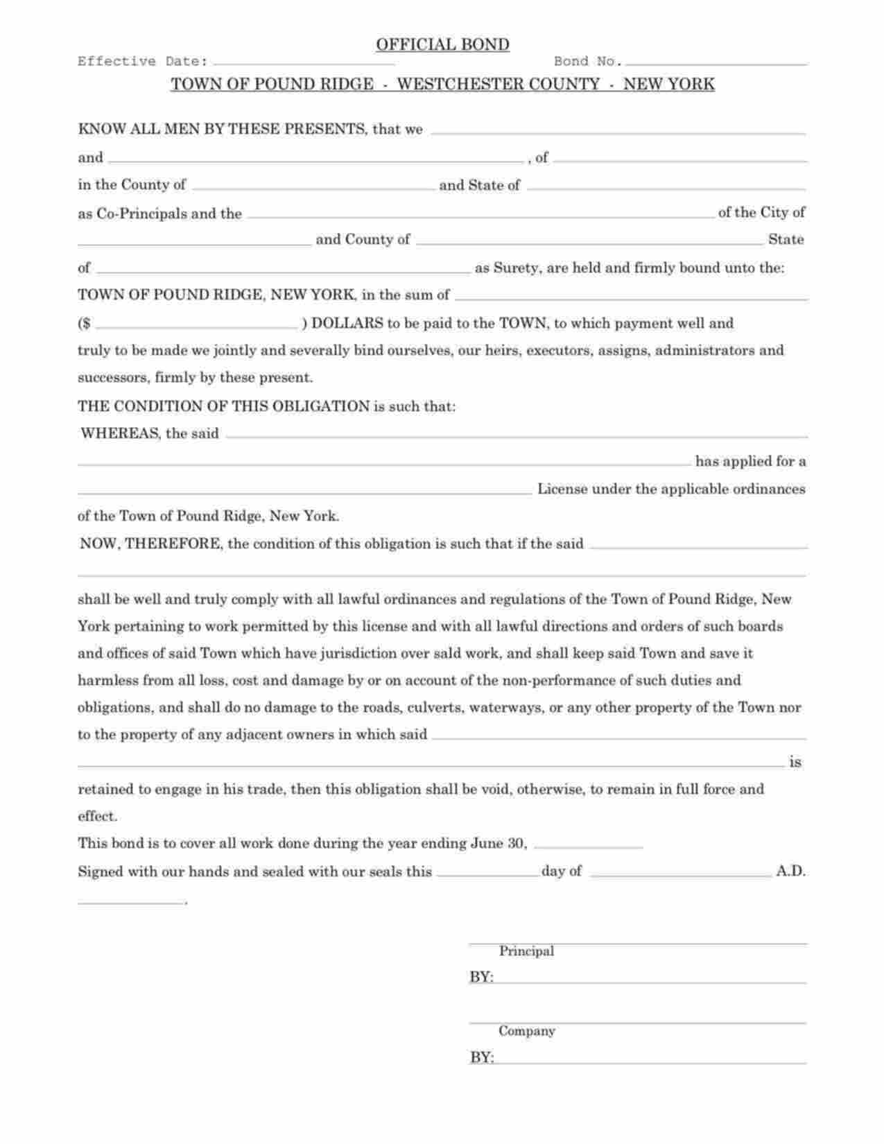 New York License/Permit Bond Form