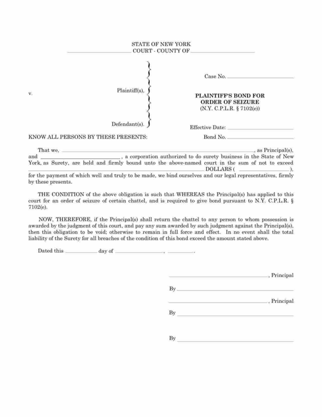 New York Plaintiffs Order of Seizure Bond Form
