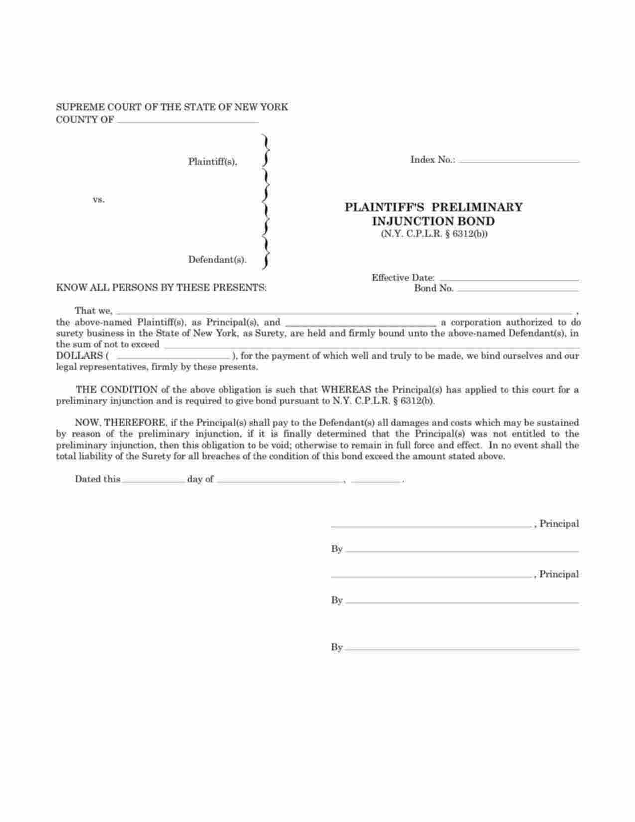 New York Plaintiffs Preliminary Injunction Bond Form