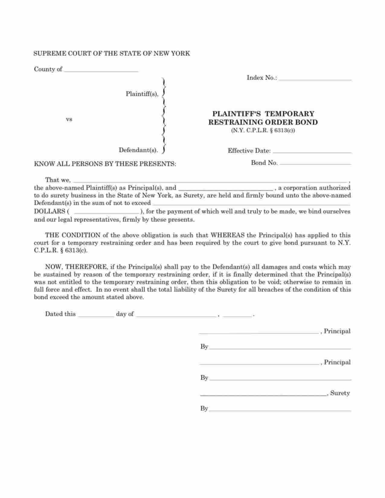 New York Plaintiffs Temporary Restraining Order Bond Form