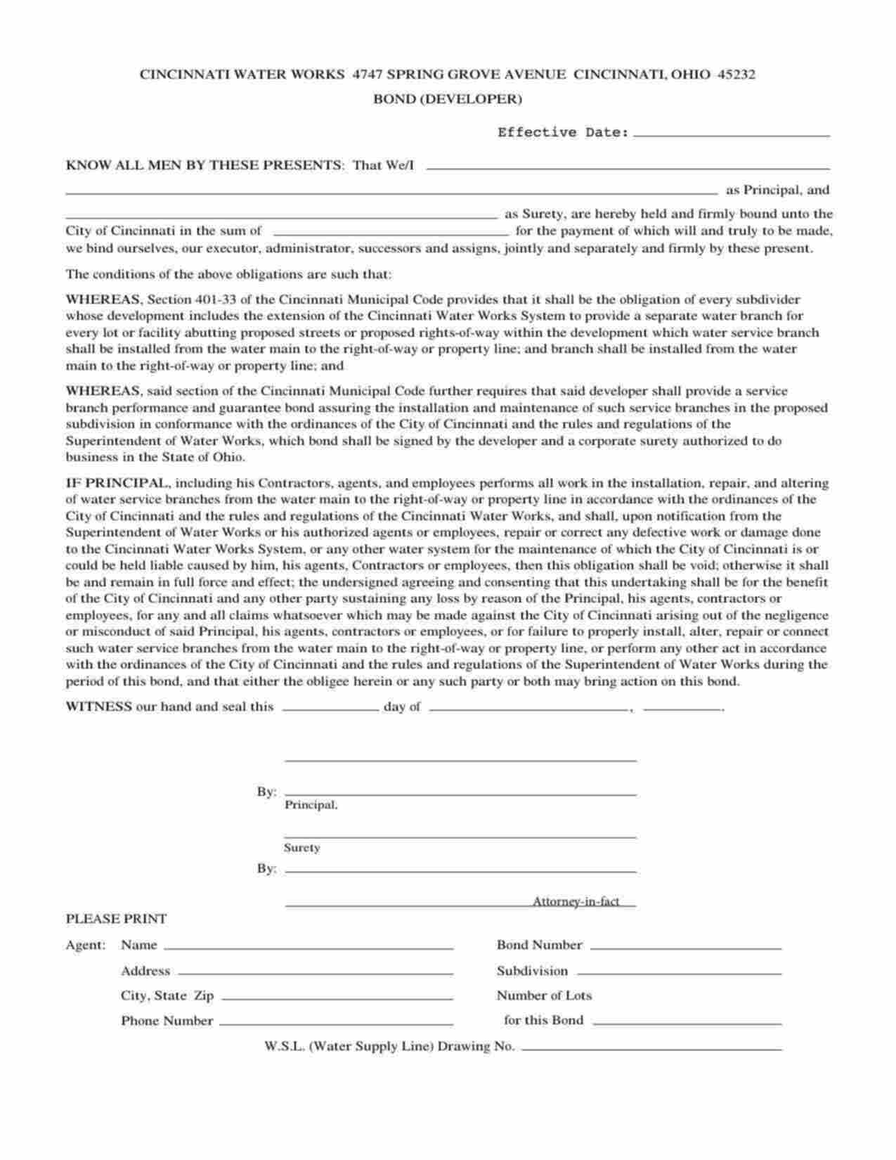 Ohio Developer (Water Works) Bond Form